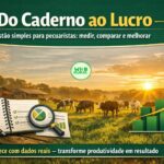Do caderno ao lucro: Dicas para pequenos e médios pecuaristas.