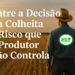 Na fazenda, o risco não está apenas em errar, mas em acertar na hora errada!