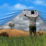 Entre o sonho e a realidade