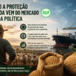 Exportação de gado vivo e arroz em casca. O que isso revela?