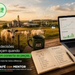 O que uma conversa sobre vacas pode nos ensinar sobre gestão de empresas! 